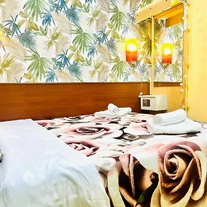 Affittacamere Green Guesthouse